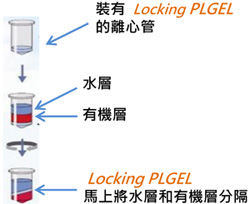 Locking PLGEL